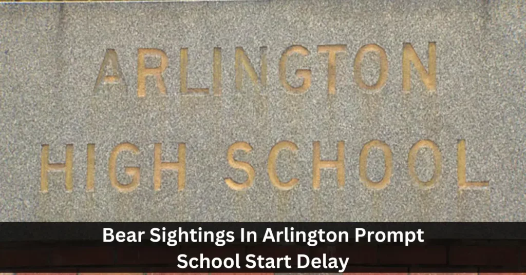 Bear Sightings In Arlington Prompt School Start Delay