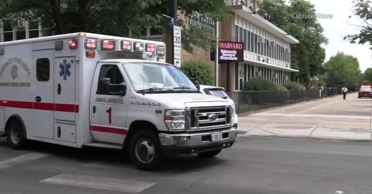 Chicago School Incident: 5 Harvard Elementary Students Hospitalized For Marijuana Use