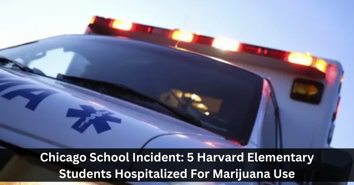 Chicago School Incident: 5 Harvard Elementary Students Hospitalized For Marijuana Use