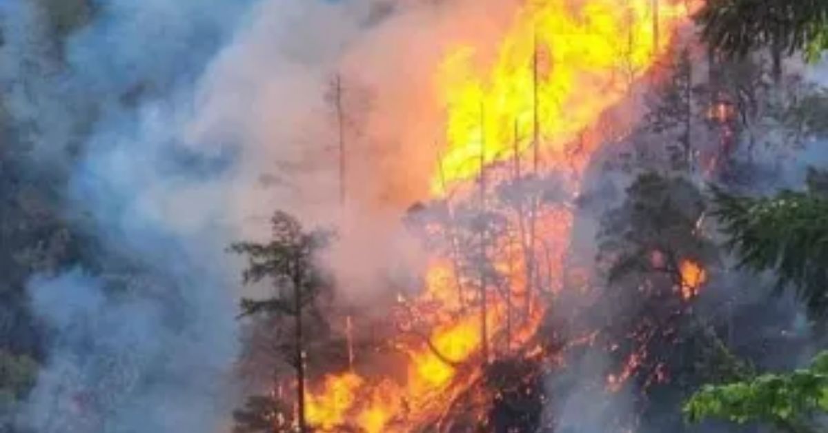 California-Oregon Border Evacuated As 40,000-Acre Wildfire Spreads