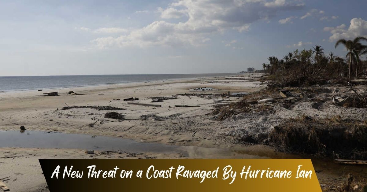 A New Threat on a Coast Ravaged By Hurricane Ian