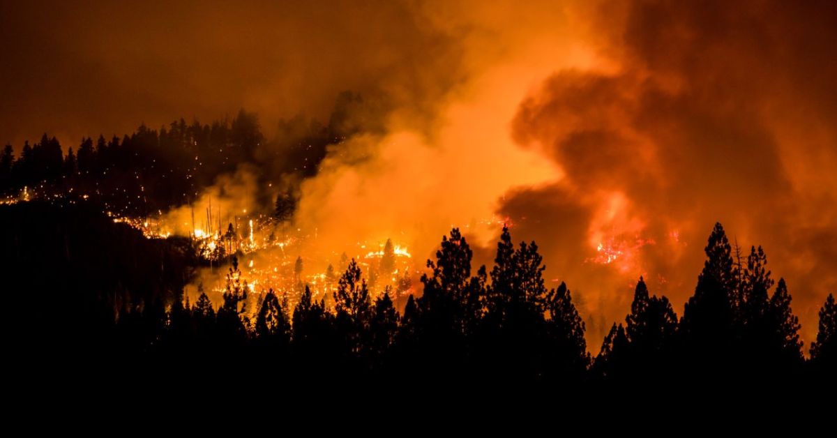 Oregon Reservoir's Drinking Water Under Threat from Nearby Wildfire