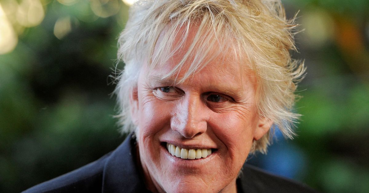 Gary Busey Car Accident