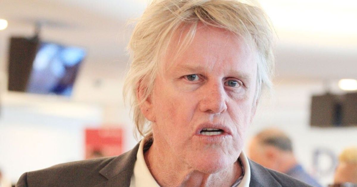 Gary Busey Car Accident